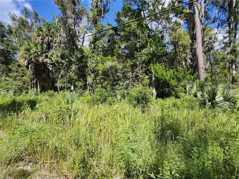 Tbd SW 12th Street Road, Ocala, FL 34481