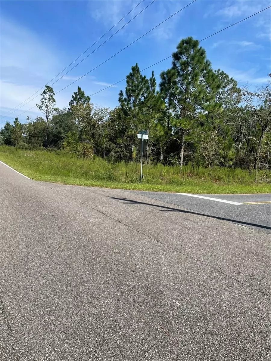  00 SW Indian Hill Dr, Dunnellon, FL 34432 photo 1