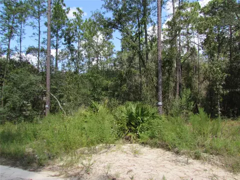 Lot 8 SW 40th Street, Dunnellon, FL 34432