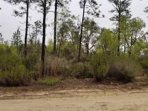 9830 NE 87th Pl, Bronson, FL 32621