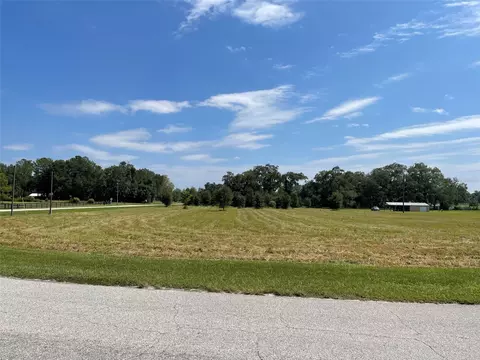 Tbd NE 106th Street, Anthony, FL 32617