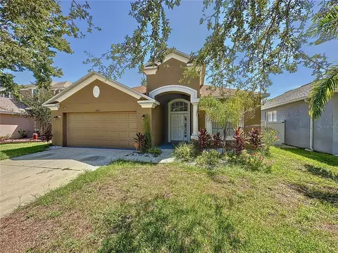 8616 Sandy Plains Dr, Riverview, FL 33578 photo 1