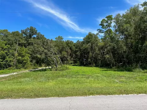 Tbd E Levy Street, Williston, FL 32696