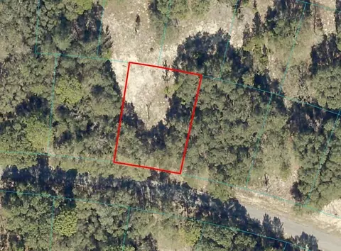 00 Fisher Ter, Ocklawaha, FL 32179