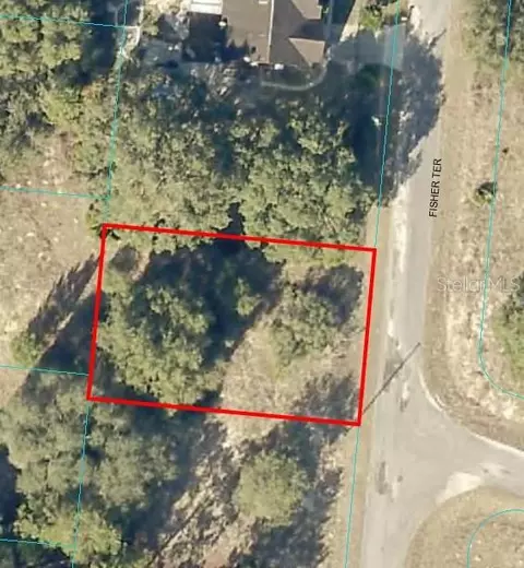 Fisher Terr, Ocklawaha, FL 32179