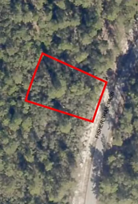 30 Fisher Trail, Ocklawaha, FL 32179
