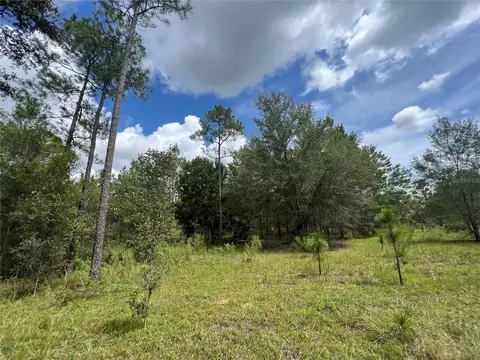 Tbd Se 160th Avenue, Morriston, FL 32668