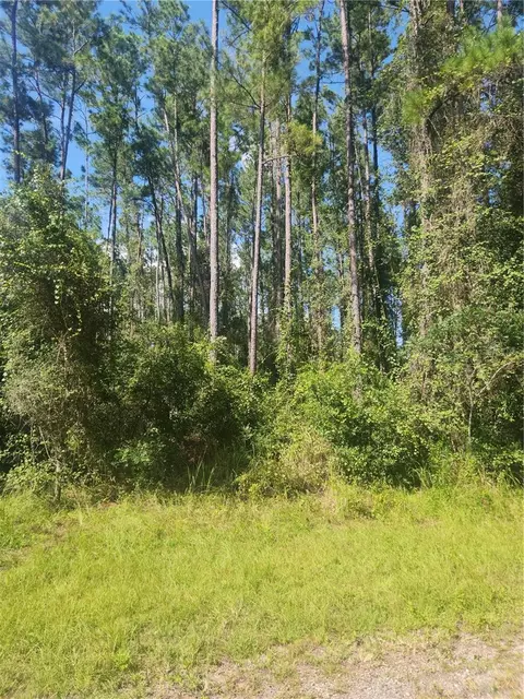 1091 E Toledo Dr, Citrus Springs, FL 34434