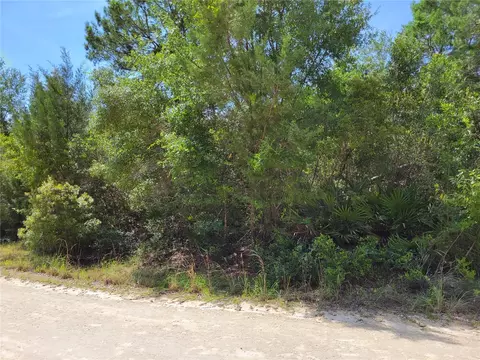 NE 242 Avenue, Salt Springs, FL 32134