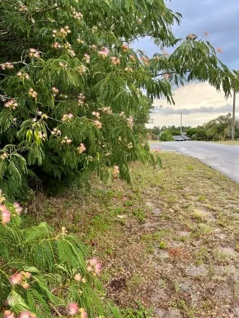 Lot 1 SW 52 Circle, Ocala, FL 34473