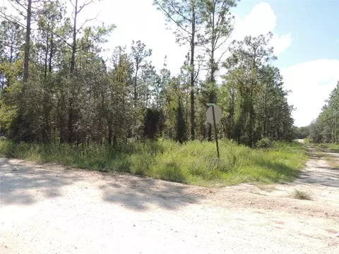 14290 SE 21st Pl, Morriston, FL 32668