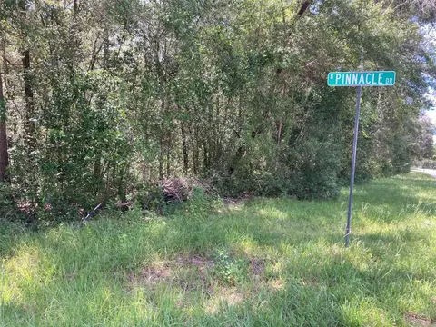 8580 N Golfview Dr, Citrus Springs, FL 34434