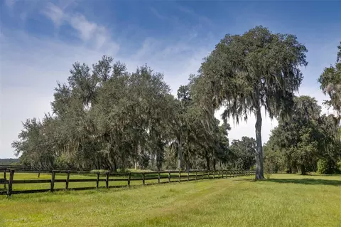 19560 NW 123rd Ct, Micanopy, FL 32667