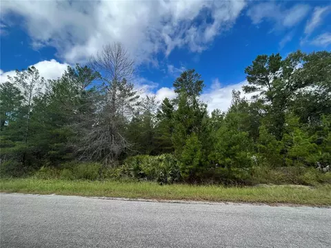00 Fisher Trl, Ocklawaha, FL 32179