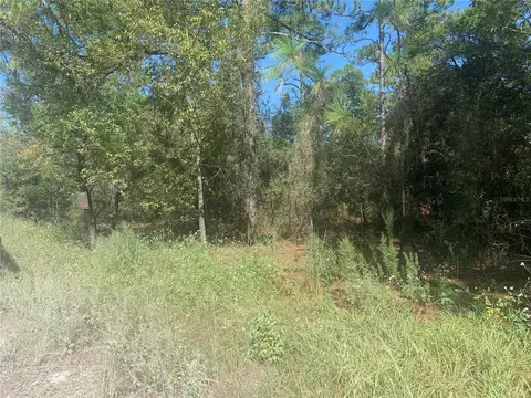 Tbd SW 167th Avenue, Ocala, FL 34481