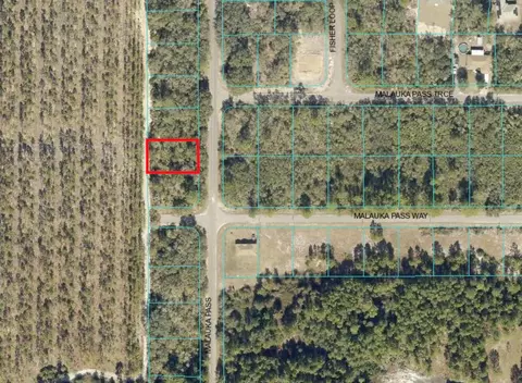 Malauka Pass, Ocklawaha, FL 32179