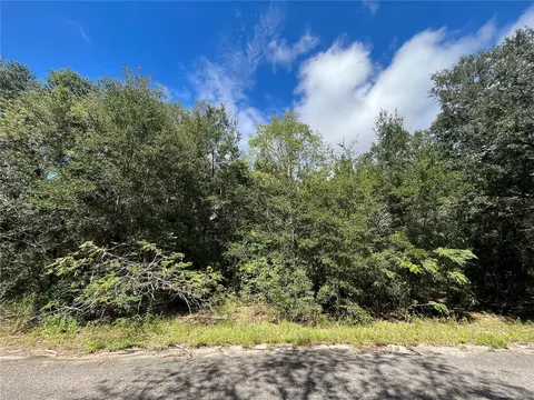 00 Guava Terrace Trce, Ocklawaha, FL 32179
