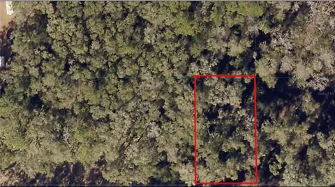 Tbd SW 15th Place, Ocala, FL 34481