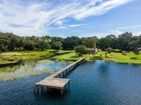 12923 NE 243rd Ct, Salt Springs, FL 32134