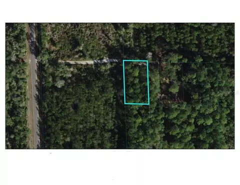 Tbd NE 65th Avenue, Citra, FL 32113