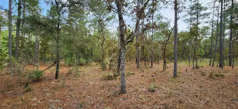 13588 SW 92nd Pl, Dunnellon, FL 34432