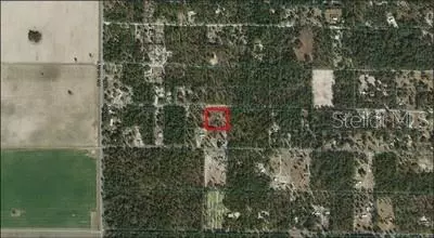 Lot 203 SW 93rd Place, Dunnellon, FL 34432
