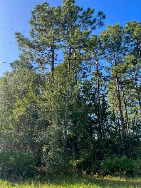 0 SW 131st Loop, Ocala, FL 34473