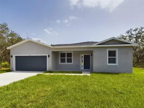 16 Makaluka Pass Dr, Ocklawaha, FL 32179