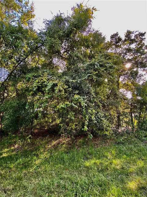 Lot 12 SW 192 Circle, Dunnellon, FL 34432