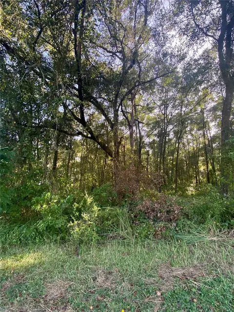Lot 15 SW 189 Circle, Dunnellon, FL 34432