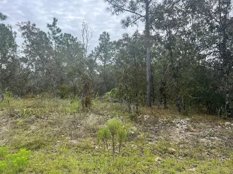 Lot 108 SW 125th Terrace, Dunnellon, FL 34432