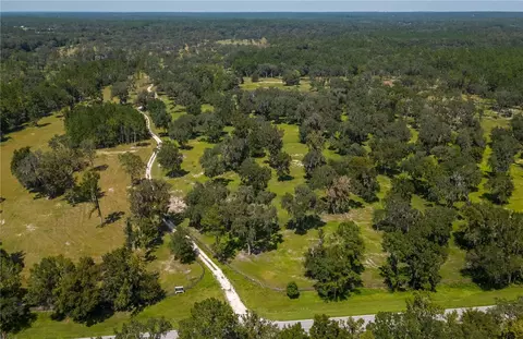 Tbd County Rd 316, Reddick, FL 32686