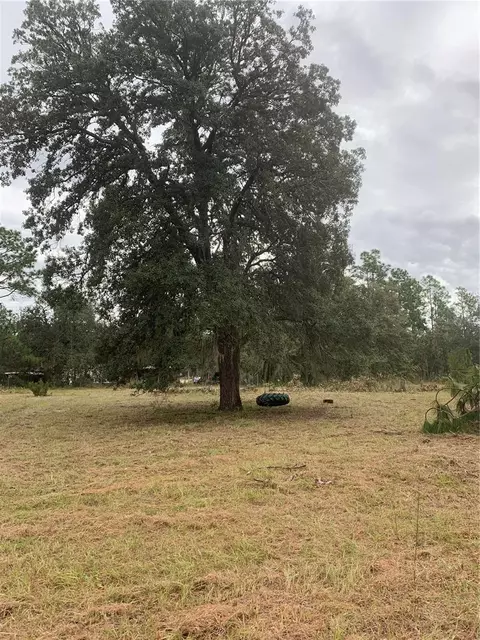 00 NE 4th St, Williston, FL 32696