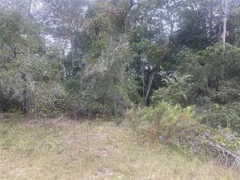 Tbd Oak Cir, Ocala, FL 34472