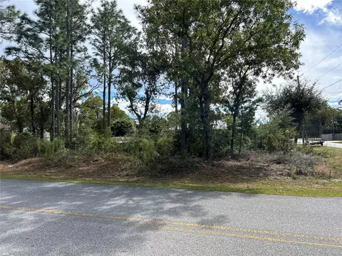 Pecan Run, Ocala, FL 34472