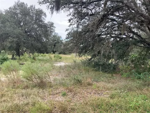 tbd SW South Lakes Ct, Dunnellon, FL 34431