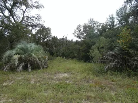 Lot 7 SW Neptune Boulevard, Dunnellon, FL 34431