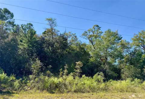 SW Sea Cliff Avenue, Dunnellon, FL 34431