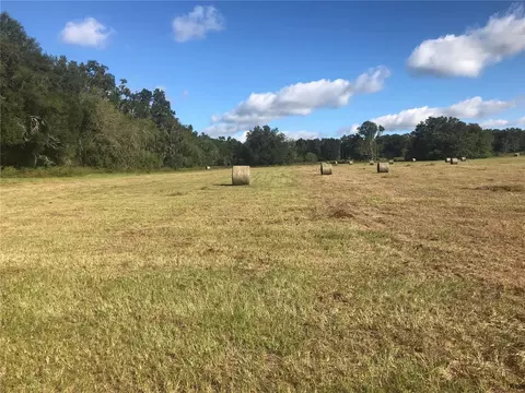 Tbd Nw 133rd Ln, Reddick, FL 32686