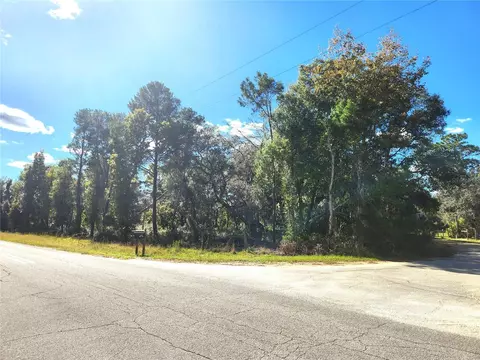 NE 103 Court Road, Fort Mc Coy, FL 32134