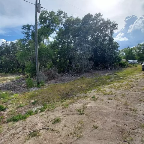 Tbd Malauka Radial, Ocklawaha, FL 32179