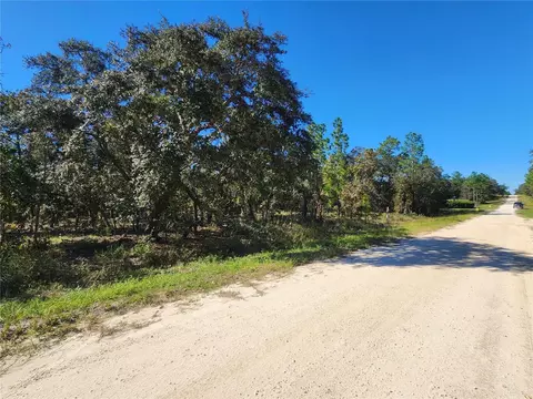 Tbd Sw 88th Street, Dunnellon, FL 34432