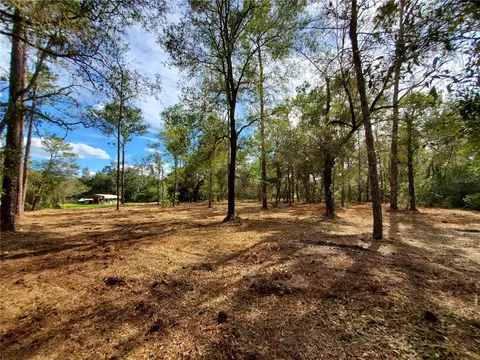 Tbd SW 153rd Lane, Dunnellon, FL 34432