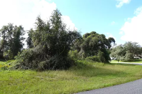 Tbd SW 42 Street, Ocala, FL 34481