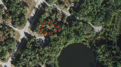 Maluka Radial Place, Ocklawaha, FL 32179