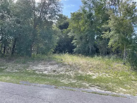 0 SE 129 Pl, Ocklawaha, FL 32179