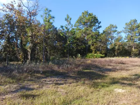 3510 W Hampshire Blvd, Citrus Springs, FL 34433