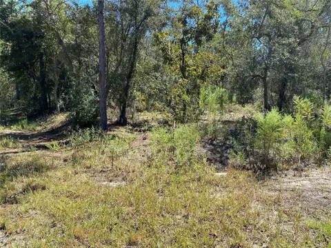 00 NW Luna Ave, Dunnellon, FL 34431
