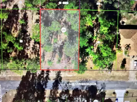 3659 W Galtonia Ln, Citrus Springs, FL 34433