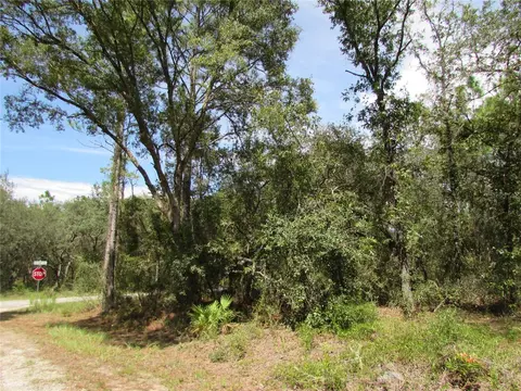 Tbd SE 123rd Avenue, Dunnellon, FL 34431